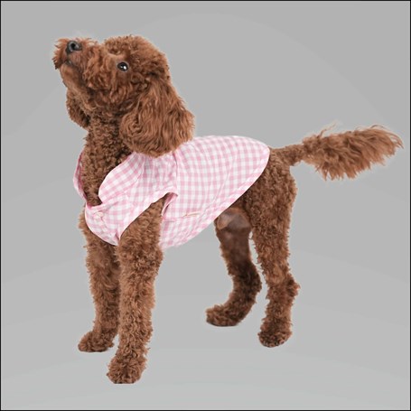 Pawstar Pembe Pötikare Küçük Irk Köpek Gömleği