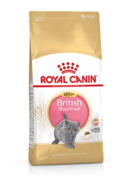 Royal Canin British Shorthair 2 kg Yavru Kedi Maması