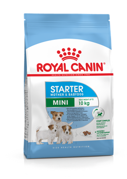 Royal Canin Mini Starter 3 kg Küçük Irk Dişi Yetişkin ve Yavru Köpek Maması