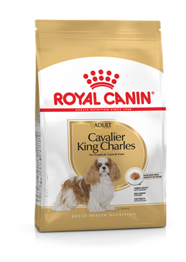 Royal Canin Cavalier King Charles 3 kg Yetişkin Köpek Maması